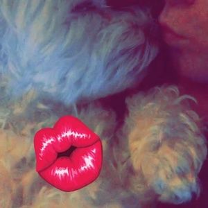 Meet your Posher, Cara